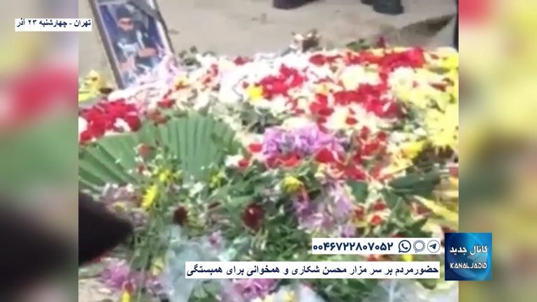 تهران – حضور مردم بر سر مزار محسن شکاری و همخوانی برای همبستگی