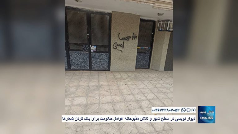 دیوار نویسی در سطح شهر و تلاش مذبوحانه عوامل حکومت برای پاک کردن شعارها