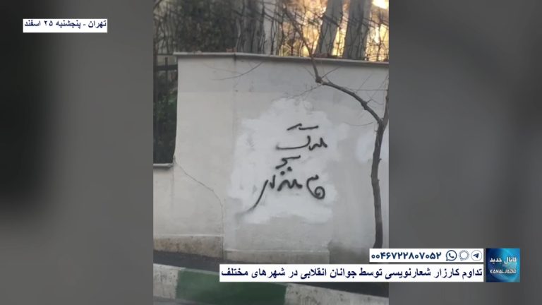تهران – تداوم کارزار شعارنویسی توسط جوانان انقلابی در شهرهای مختلف