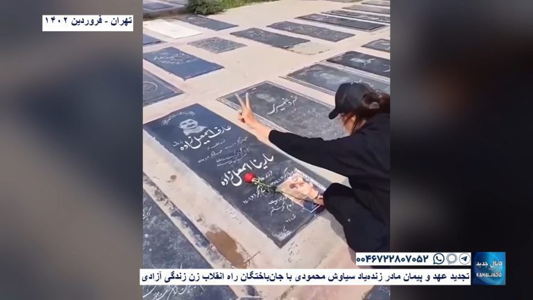 تهران – تجدید عهد و پیمان مادر زنده‌یاد سیاوش محمودی با جان‌باختگان راه انقلاب زن زندگی آزادی