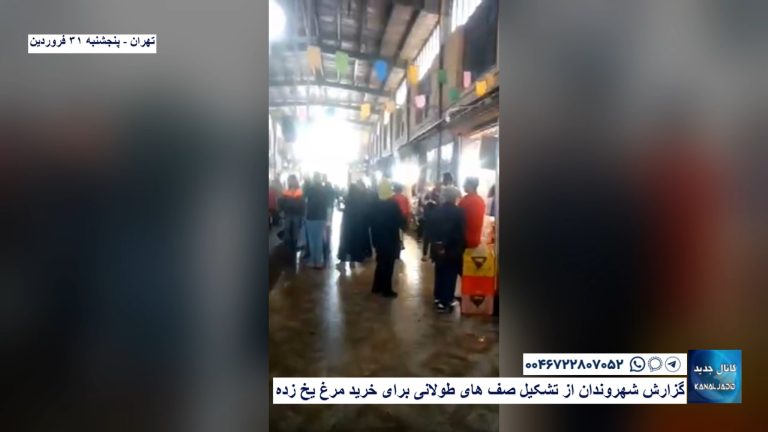 تهران – گزارش شهروندان از تشکیل صف های طولانی برای خرید مرغ یخ زده