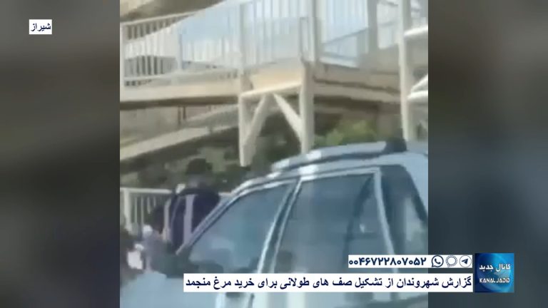 شیراز – گزارش شهروندان از تشکیل صف های طولانی برای خرید مرغ منجمد