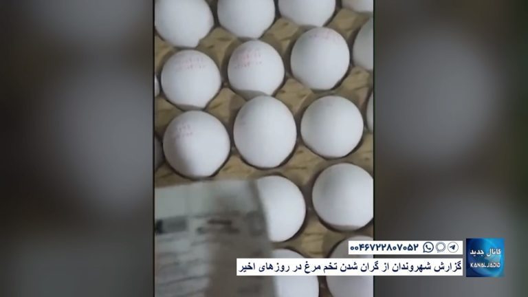 گزارش شهروندان از گران شدن تخم مرغ در روزهای اخیر