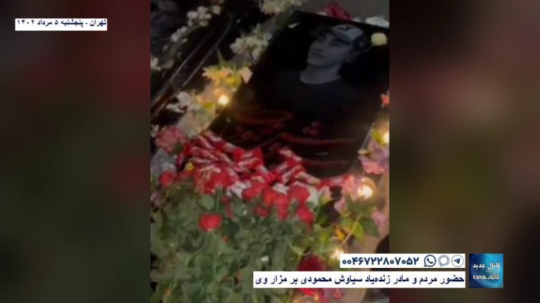 تهران – حضور مردم و مادر زنده‌یاد سیاوش محمودی بر مزار وی