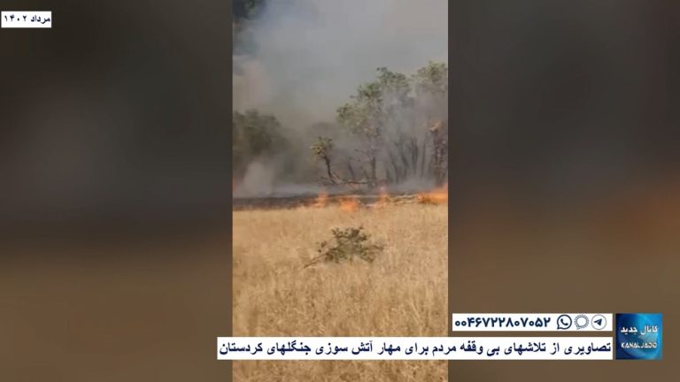 تصاویری از تلاشهای بی وقفه مردم برای مهار آتش سوزی جنگلهای کردستان