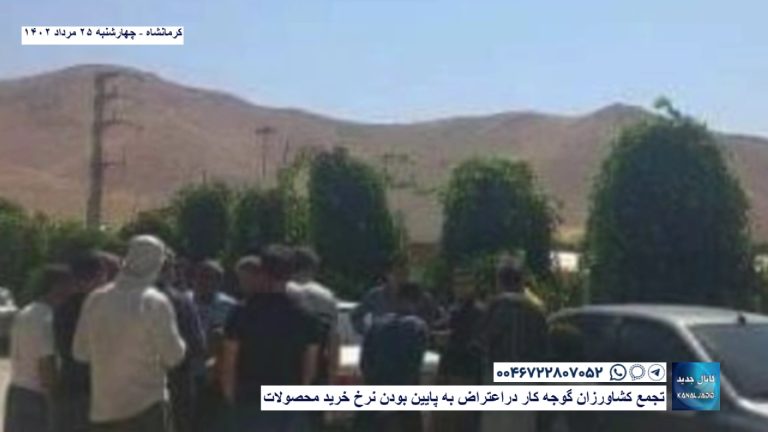 کرمانشاه – تجمع کشاورزان گوجه کار در اعتراض به پایین بودن نرخ خرید محصولات