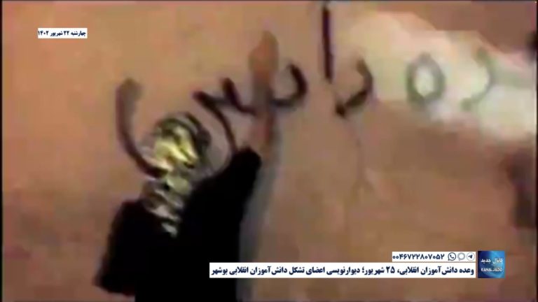 وعده دانش‌آموزان انقلابی، ۲۵ شهریور؛ دیوارنویسی اعضای تشکل دانش‌آموزان انقلابی بوشهر