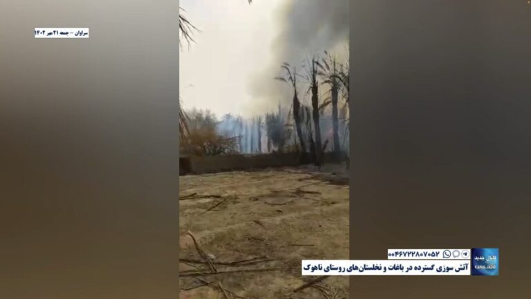 سراوان – آتش سوزی گسترده در باغات و نخلستان‌های روستای ناهوک