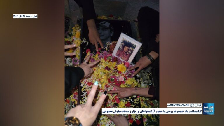 تهران – گرامیداشت یاد حمیدرضا روحی با حضور آزادیخواهان بر مزار زنده‌یاد سیاوش محمودی