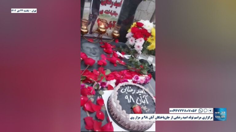 تهران -برگزاری مراسم تولد امید رضایی از جان‌باختگان آبان ۹۸ بر مزار وی