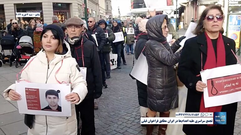 مالمو – تجمع سراسری علیه اعدام‌ها در ایران مطابق فراخوان قبلی