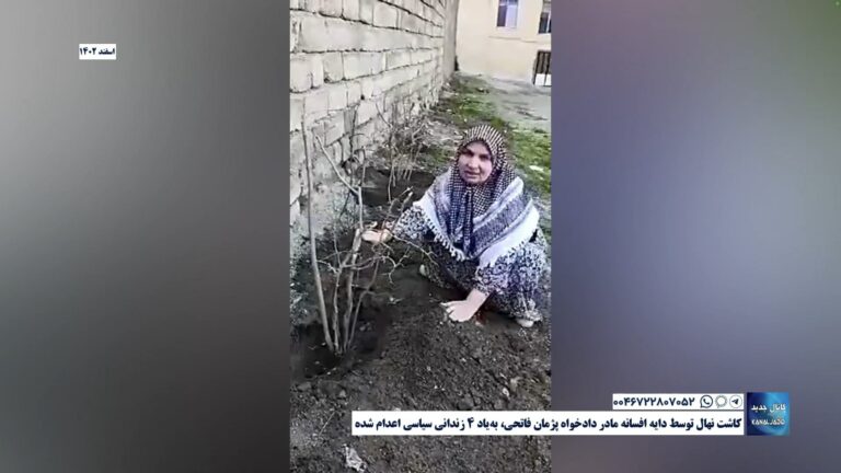 کاشت نهال توسط دایه افسانه مادر دادخواه پژمان فاتحی، به‌یاد ۴ زندانی سیاسی اعدام شده