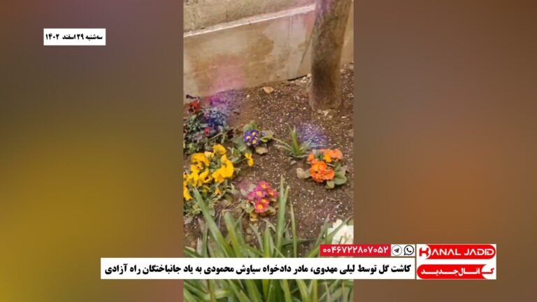 کاشت گل توسط لیلی مهدوی، مادر دادخواه سیاوش محمودی به یاد جانباختگان راه آزادی