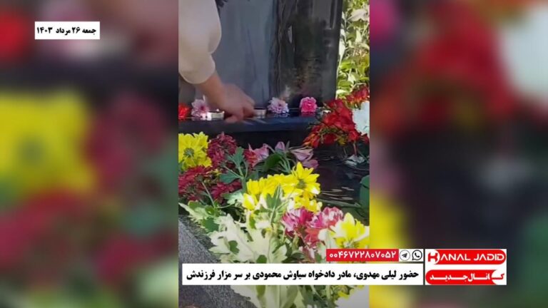 حضور لیلی مهدوی، مادر دادخواه سیاوش محمودی بر سر مزار فرزندش