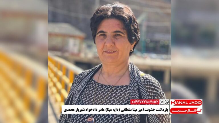 بازداشت خشونت‌آمیز مینا سلطانی (دایه مینا) مادر دادخواه شهریار محمدی