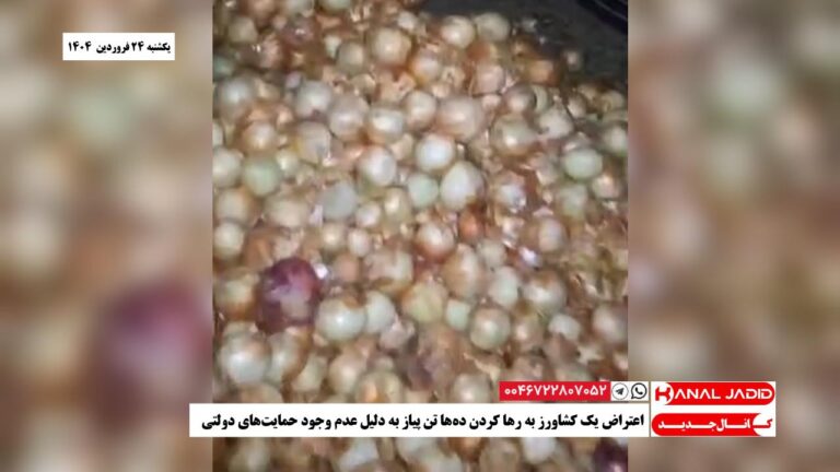 اعتراض یک کشاورز به رها کردن ده‌ها تن پیاز به دلیل عدم وجود حمایت‌های دولتی