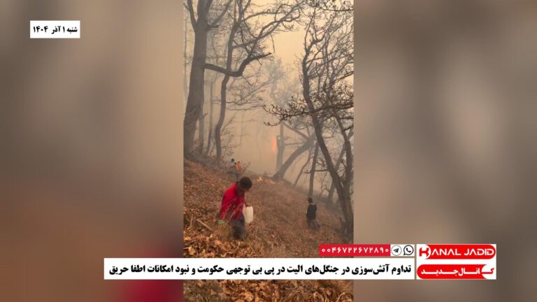 تداوم آتش‌سوزی در جنگل‌های الیت در پی بی توجهی حکومت و نبود امکانات اطفا حریق