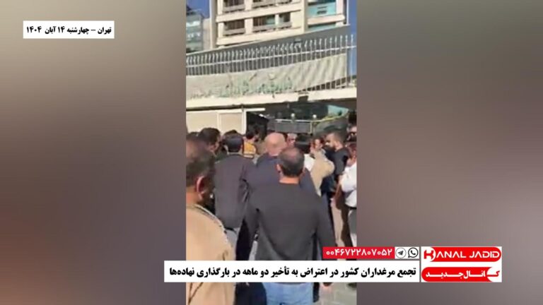 تهران – تجمع مرغداران کشور در اعتراض به تأخیر دو ماهه در بارگذاری نهاده‌ها