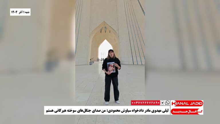 لیلی مهدوی مادر دادخواه سیاوش محمودی: ‌من صدای جنگل‌های سوخته هیرکانی هستم